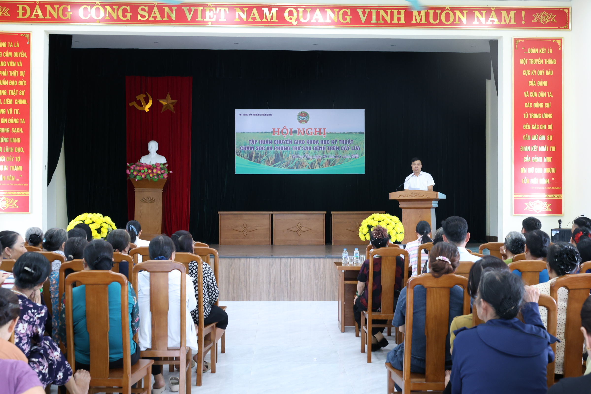 Phường Đường Hào tổ chức tập huấn kỹ thuật chăm sóc và phòng trừ sâu bệnh trên cây lúa